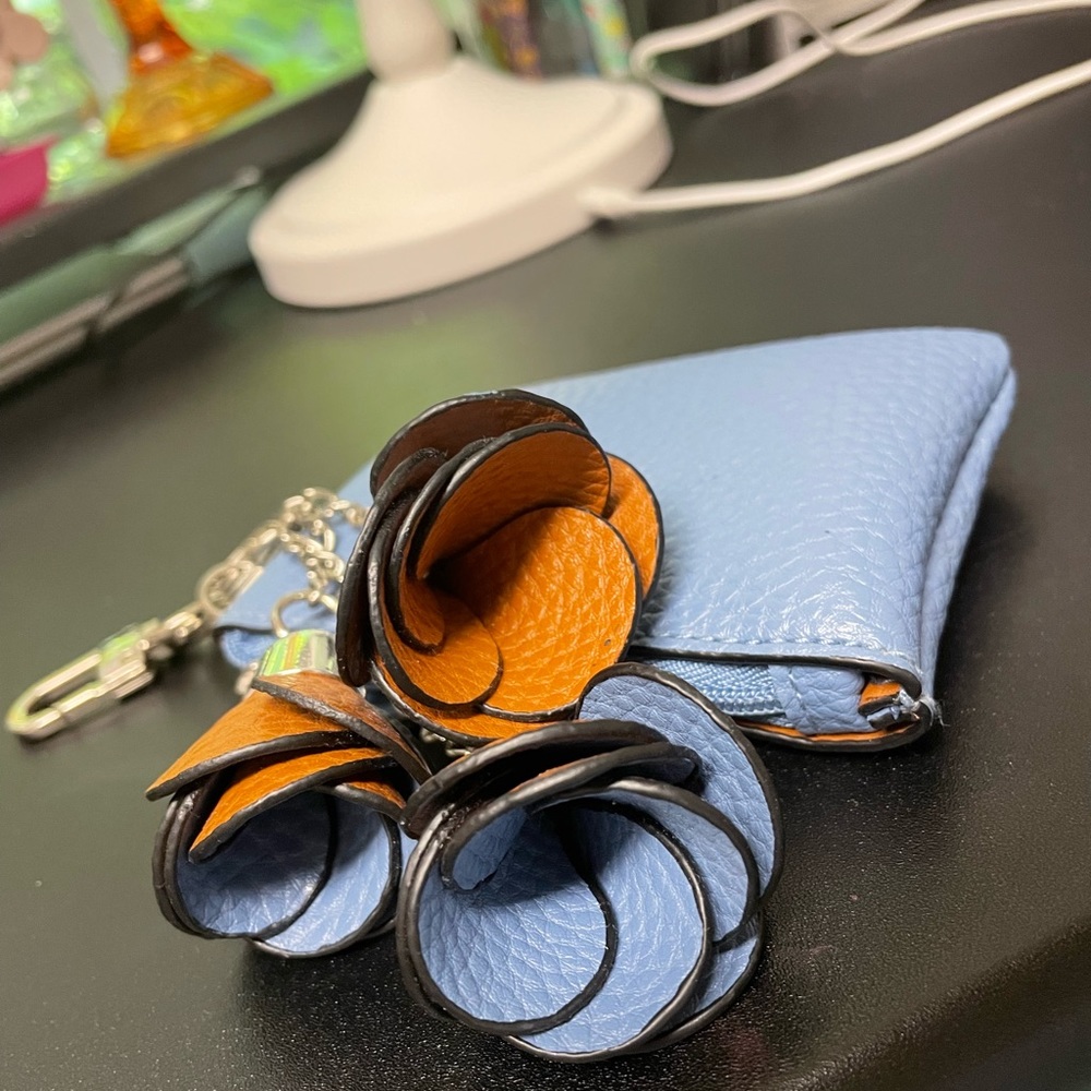 Pretty card case and key chain